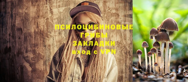 стафф Заволжск